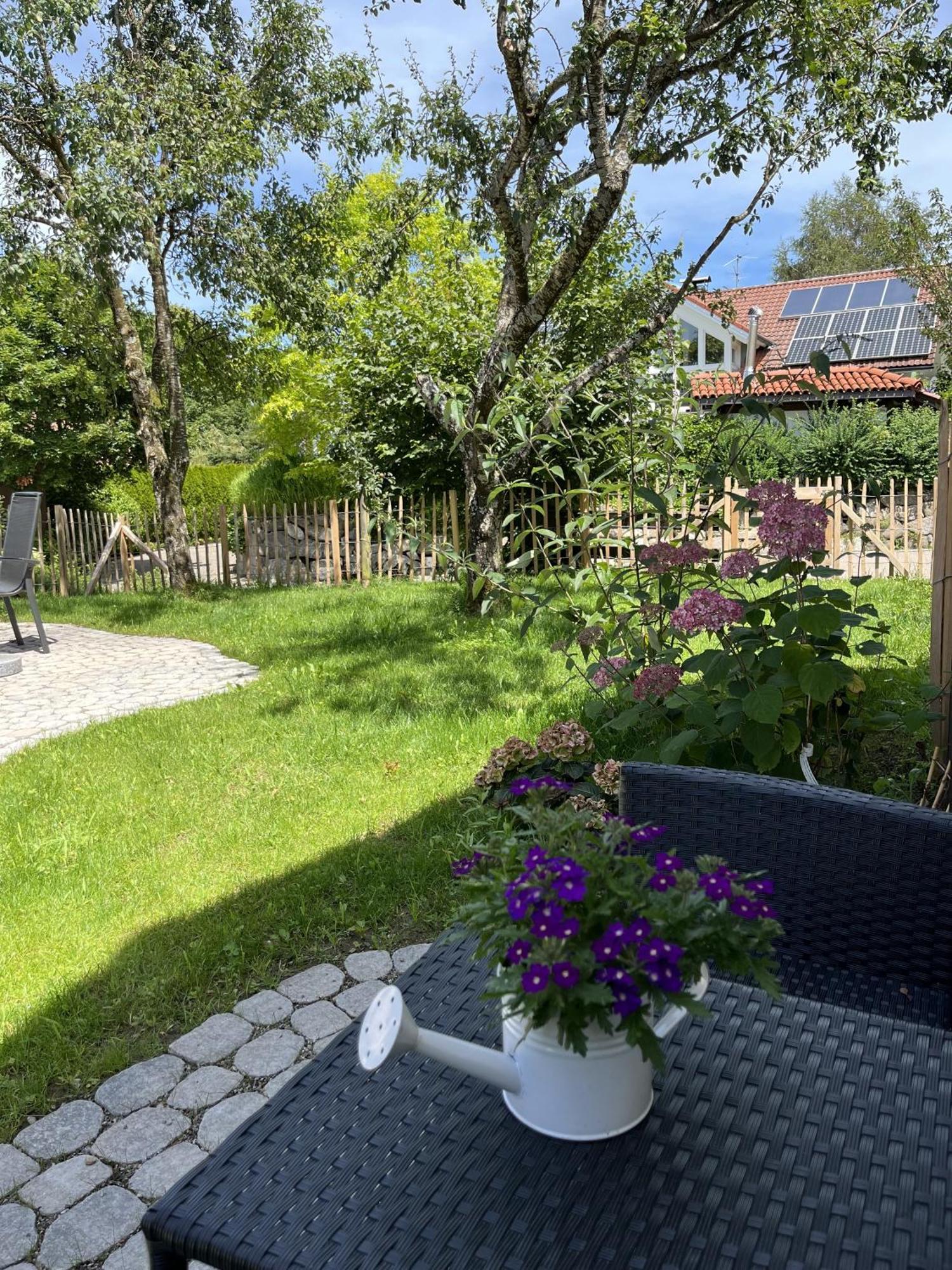 Allgaeu-Glueck Gruenenbach Grunenbach Ngoại thất bức ảnh