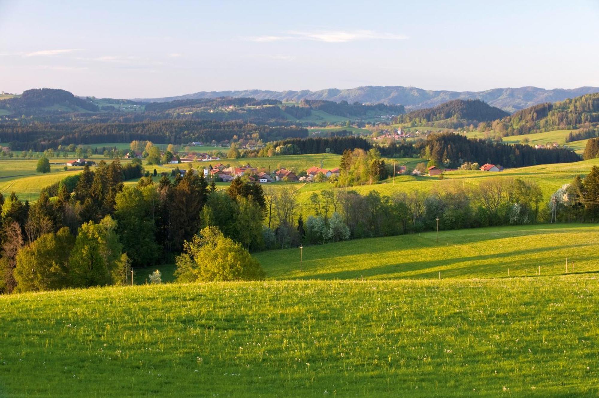 Allgaeu-Glueck Gruenenbach Grunenbach Ngoại thất bức ảnh